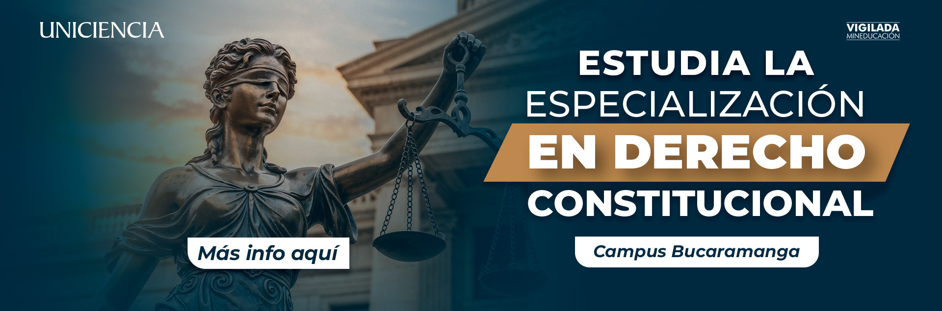 Especialización en Derecho Constitucional